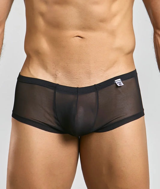 MOB Men's Sexy Sheer Hip Brief