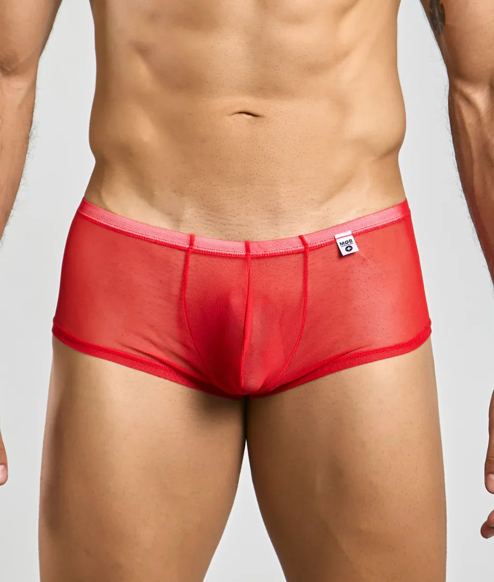 MOB Men's Sexy Sheer Hip Brief