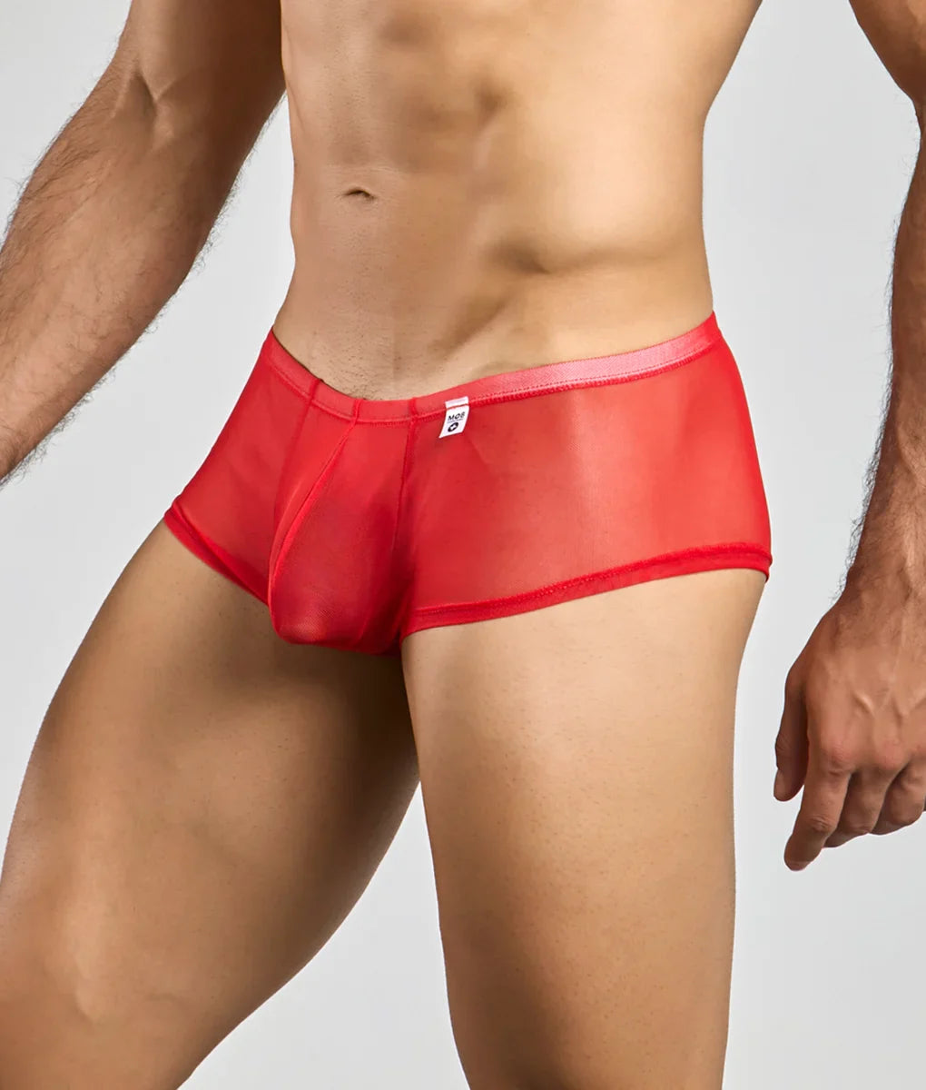 MOB Men's Sexy Sheer Hip Brief