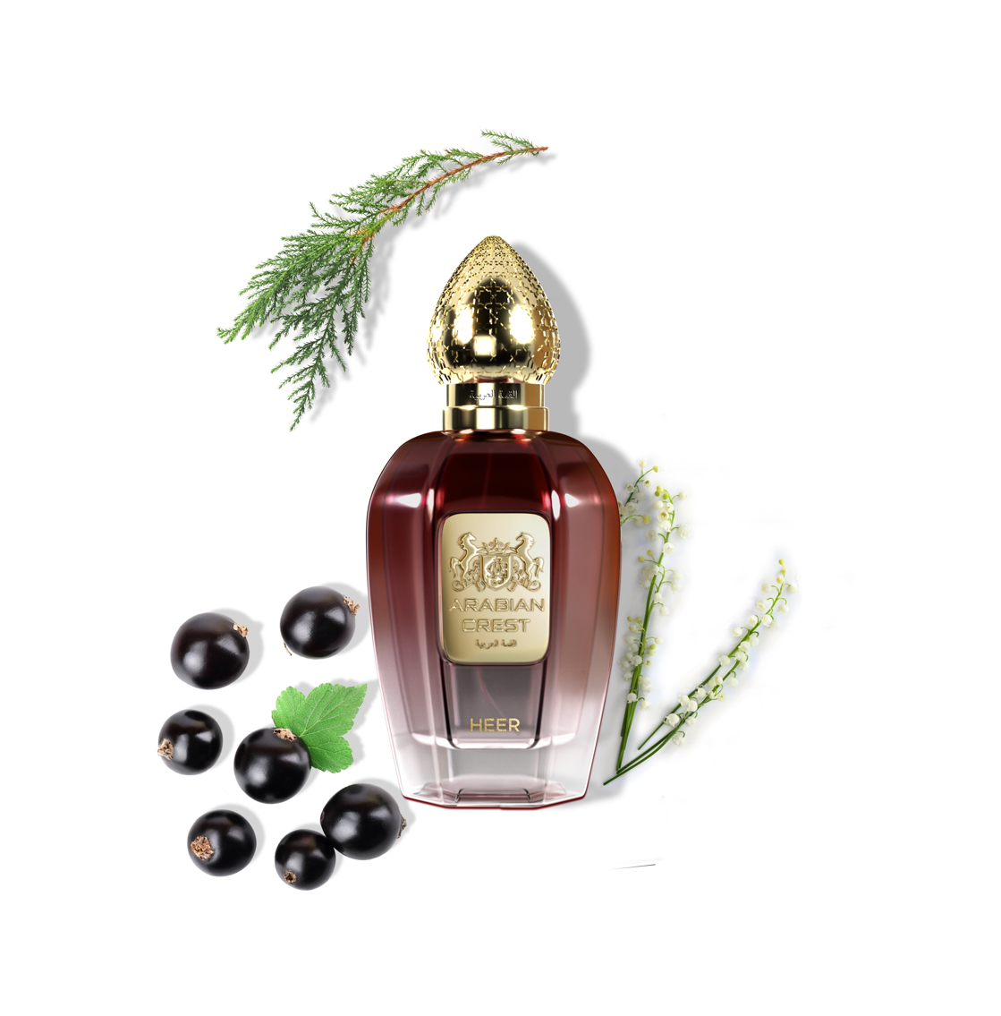Heer هير Eau de Parfum | Arabian Citrus Lily & Cedar Fragrance 100ml
