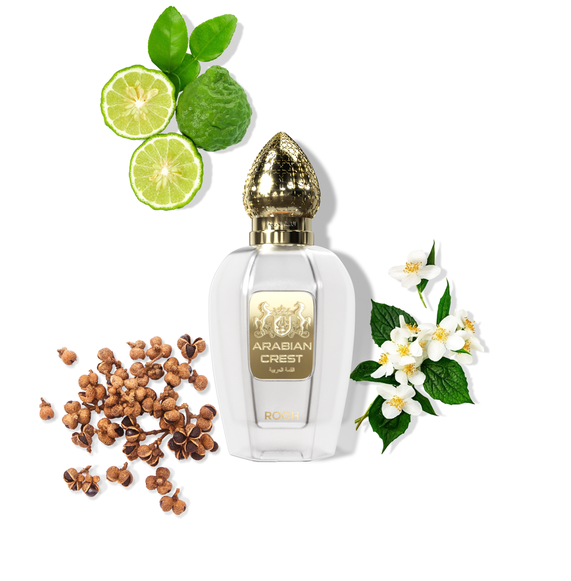 Rooh روح Eau de Parfum | Arabian Sandalwood Jasmine & Amberwood Fragrance