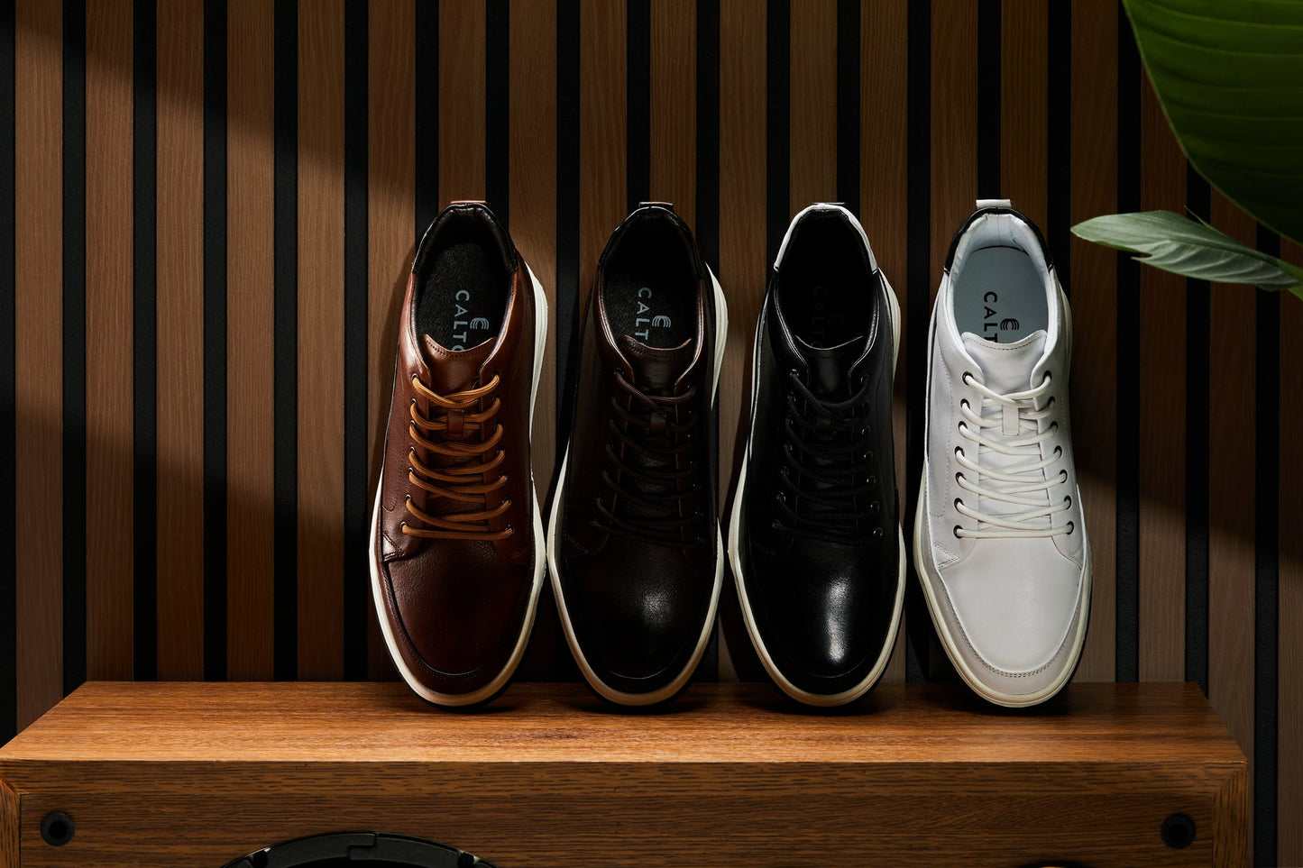 CALTO - Y7151 - 2.6 Inches Taller (Off-White) - Leather Ankle Top Sneak-Boot