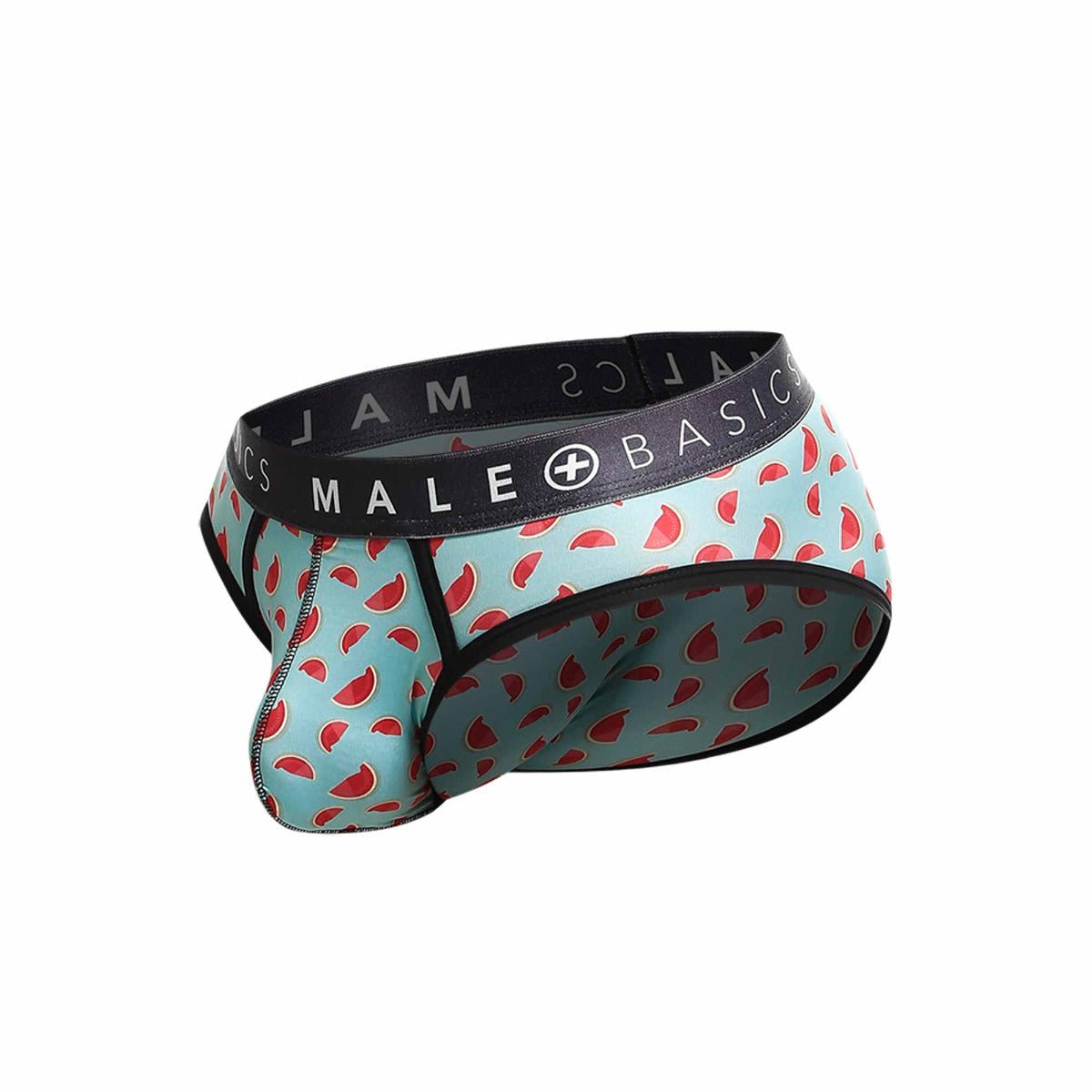 Malebasics Brief Sexy Pouch Final Sale